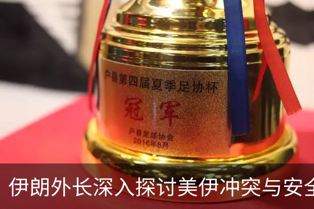 伊朗外长深入探讨美伊冲突与安全隐患